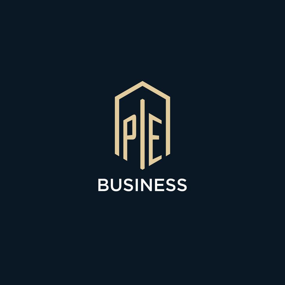 PE initial monogram logo with hexagonal shape style, real estate logo design ideas inspiration vector