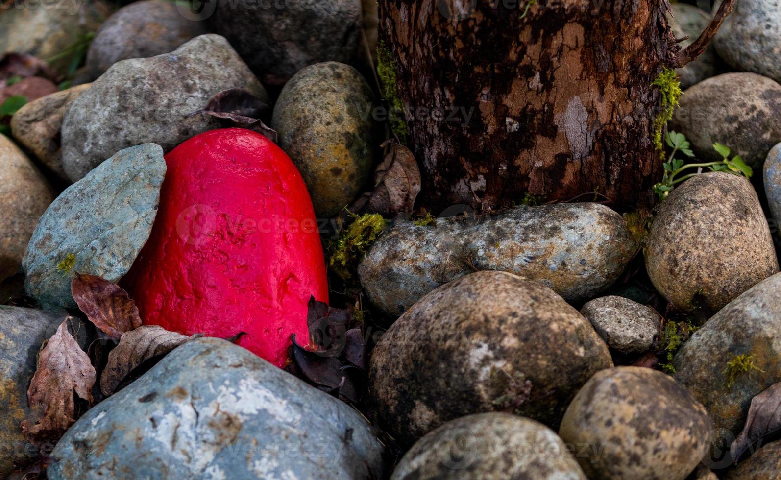 Pile of rocks with 1 painted red next to a tree trunk photo