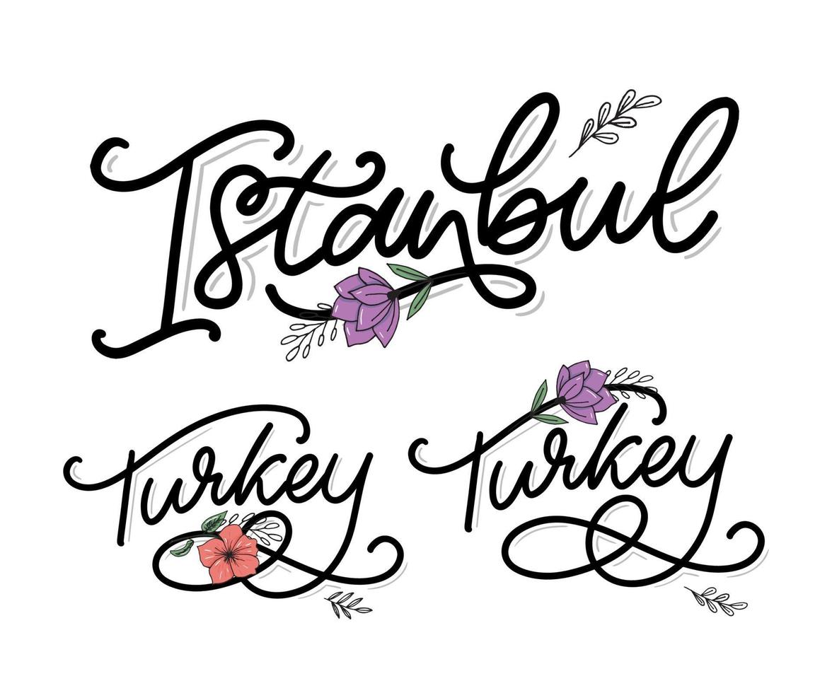 Estanbul. letras a mano. logotipo vectorial de estambul en color negro con gaviotas sobre fondo blanco. productos de recuerdo, emblema de pancarta, blog de viajes en redes sociales, folleto, volante. ilustración digital. vector