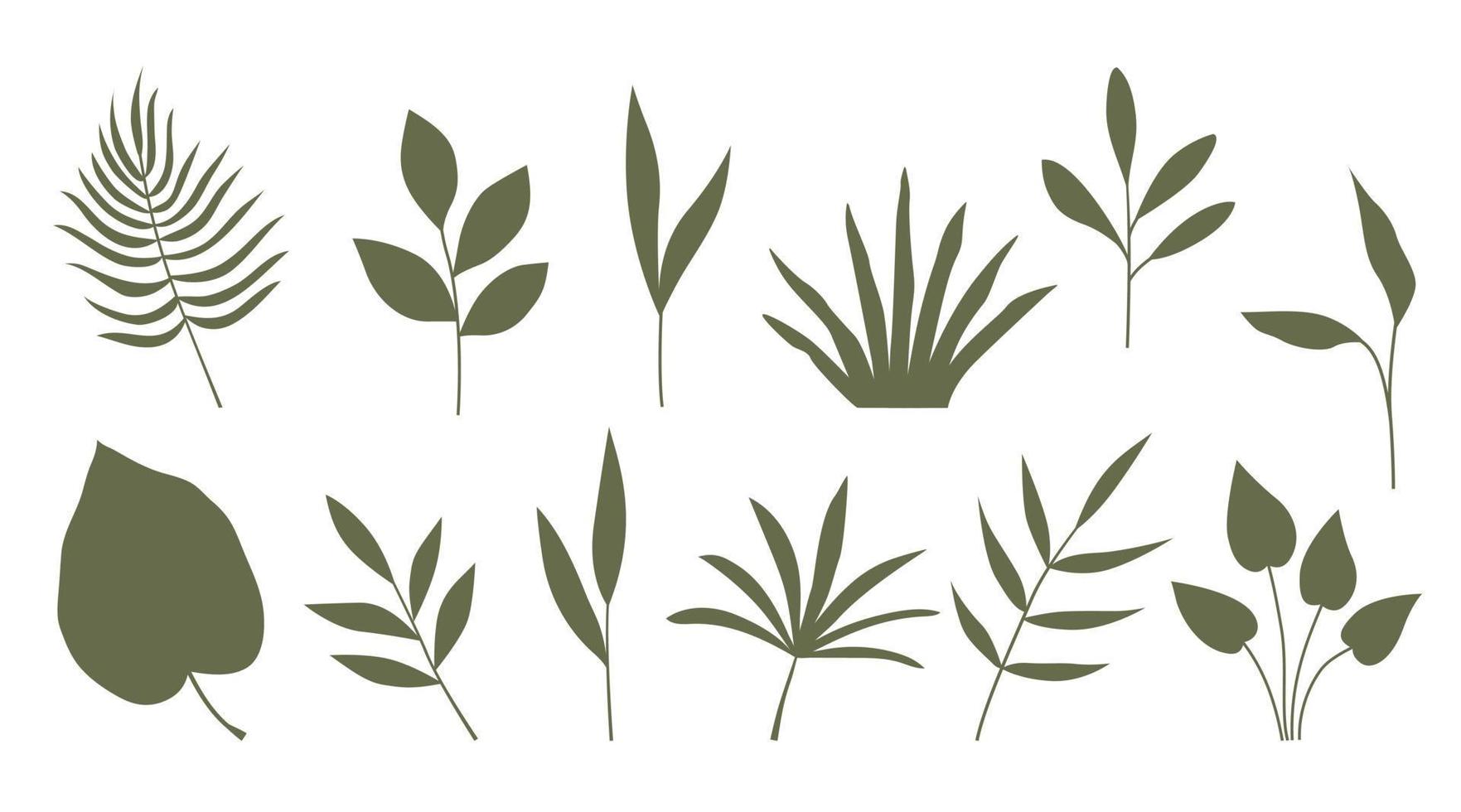 Leaves of plants set. Vector aesthetic different plants of a muted shade in a flat style