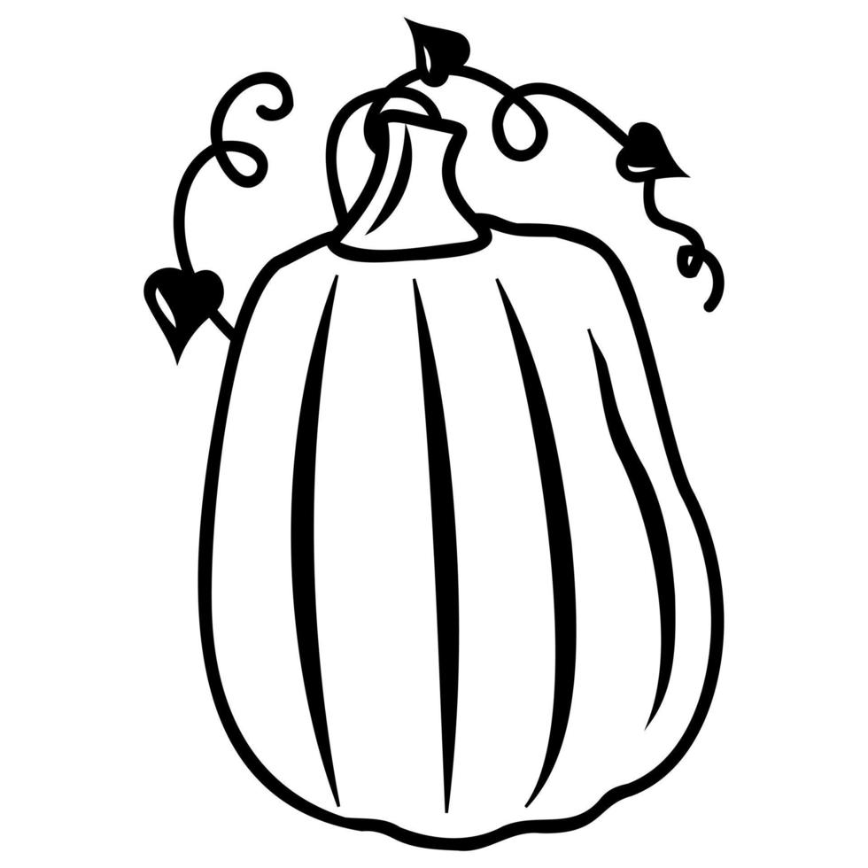 calabaza vegetal de otoño, contorno negro, ilustración vectorial aislada en estilo garabato vector