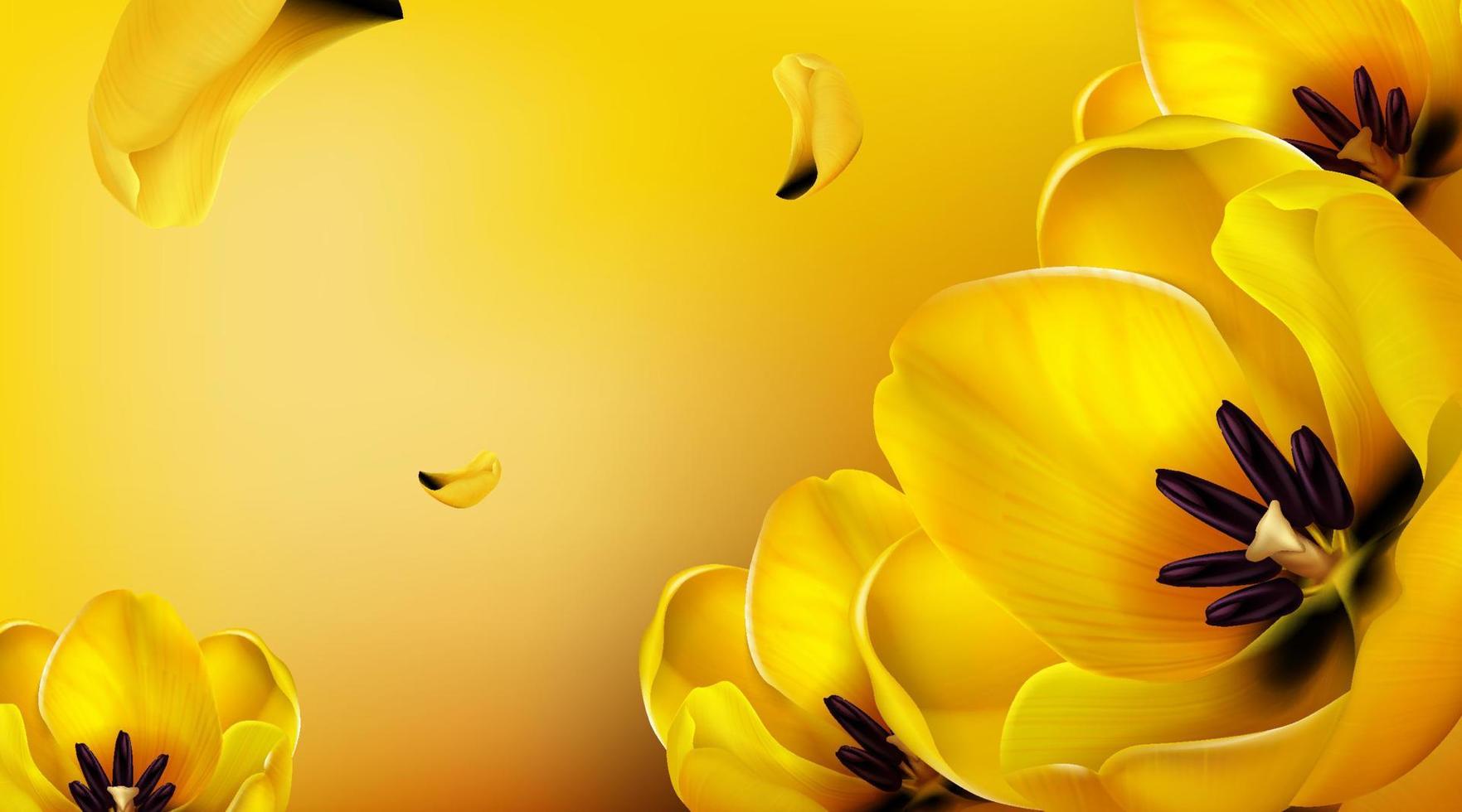 Vector background with realistic yellow tulips