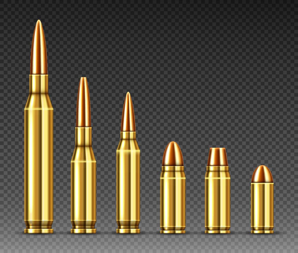 Bullets of different calibers stand in row, ammo vector
