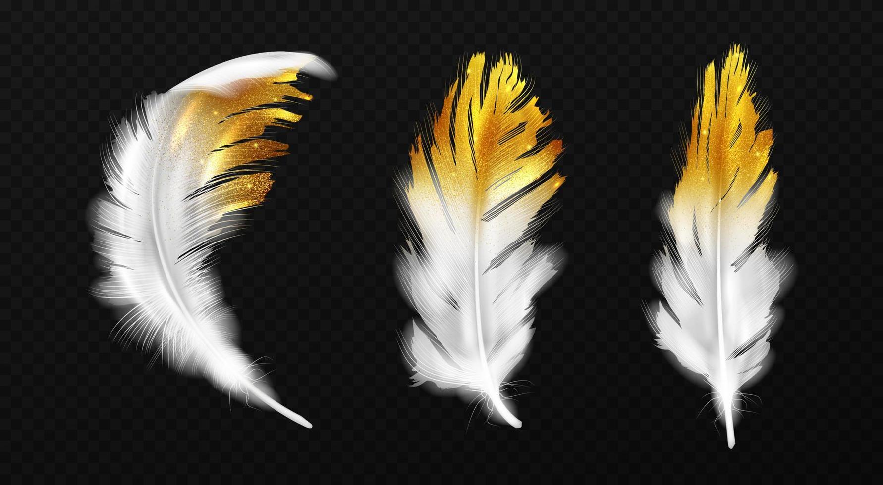 White feathers with gold glitter on edges, plumage vector