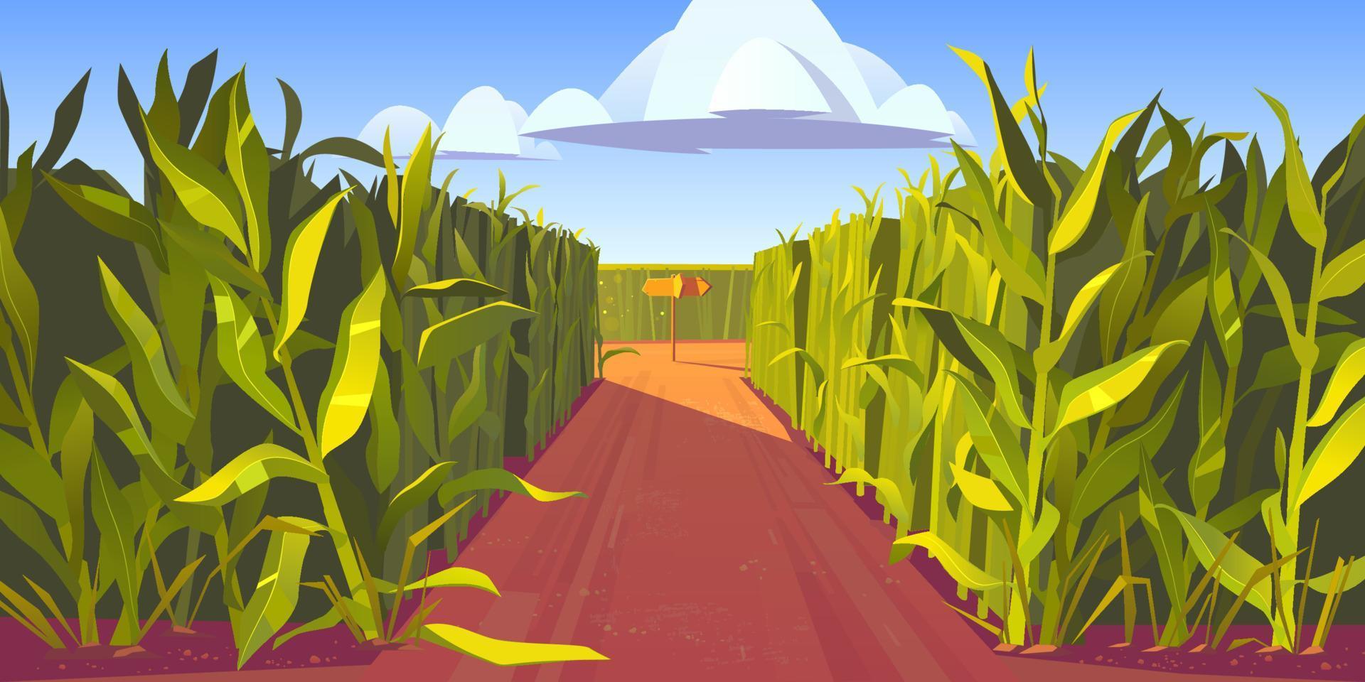 Road on cornfield with fork and direction sign vector