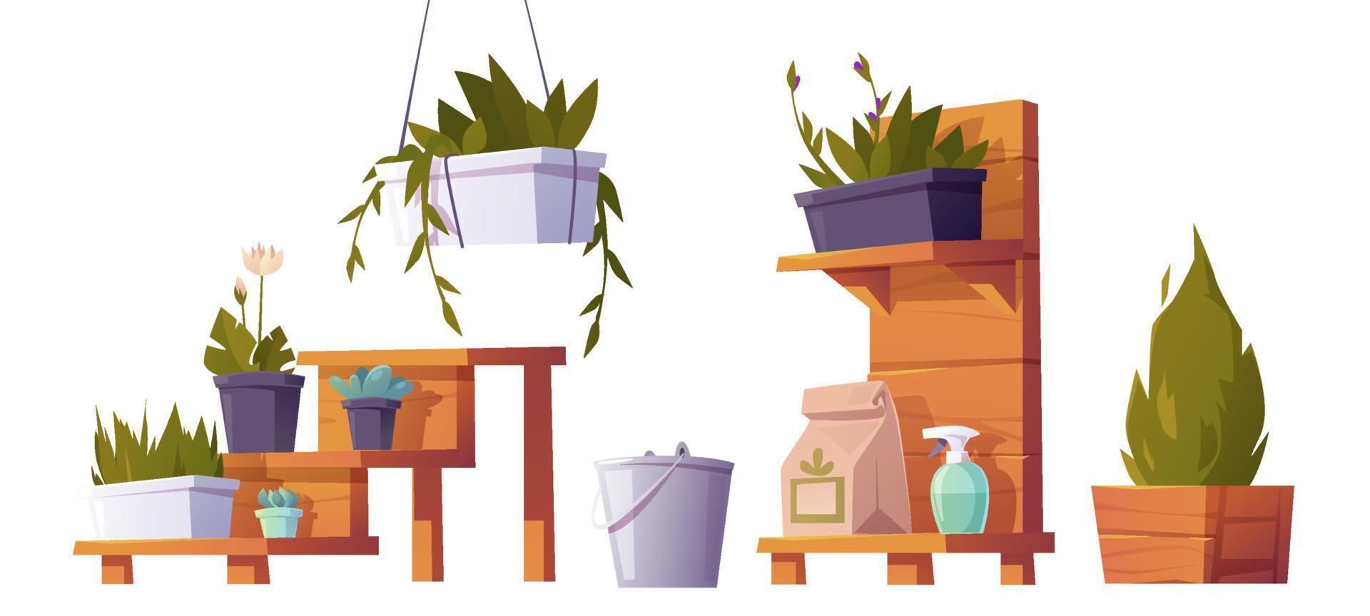 Plants in pots on wooden stand for greenhouse vector