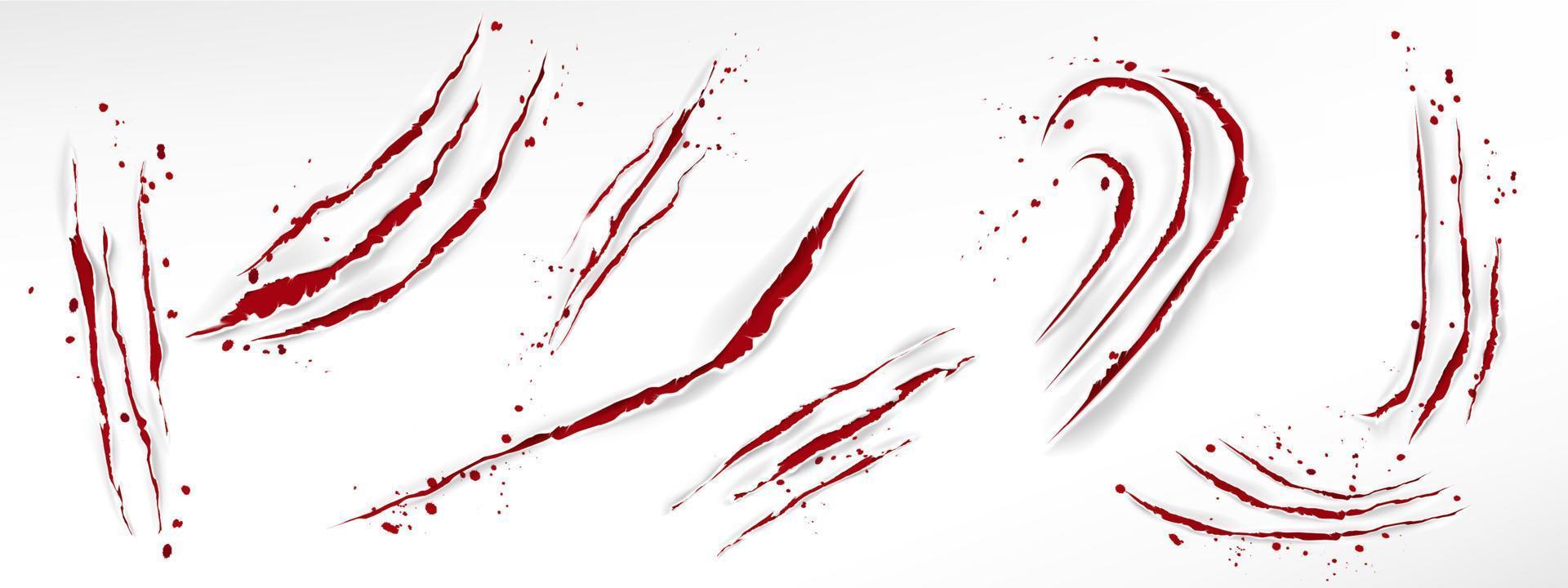 Cat claw scratches with blood drops vector