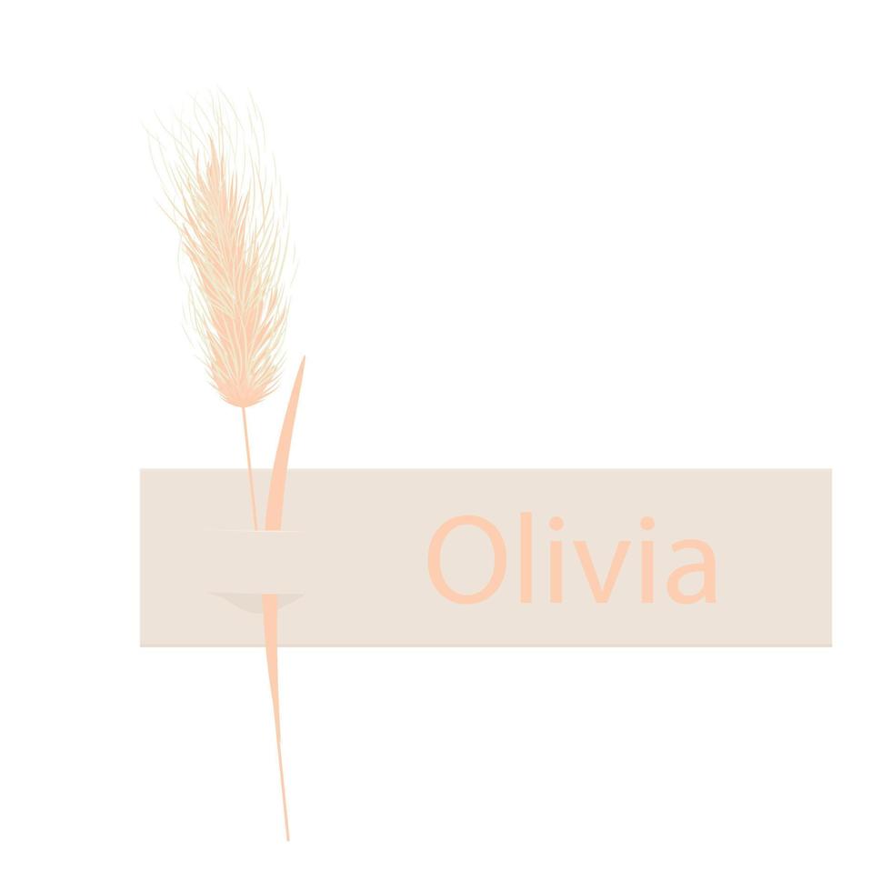 una placa con una flor seca. el nombre de la prueba es olivia. ilustración vectorial una tarjeta de boda para los invitados sentados. hierba de cola de conejo beige. Aislado en un fondo blanco. vector