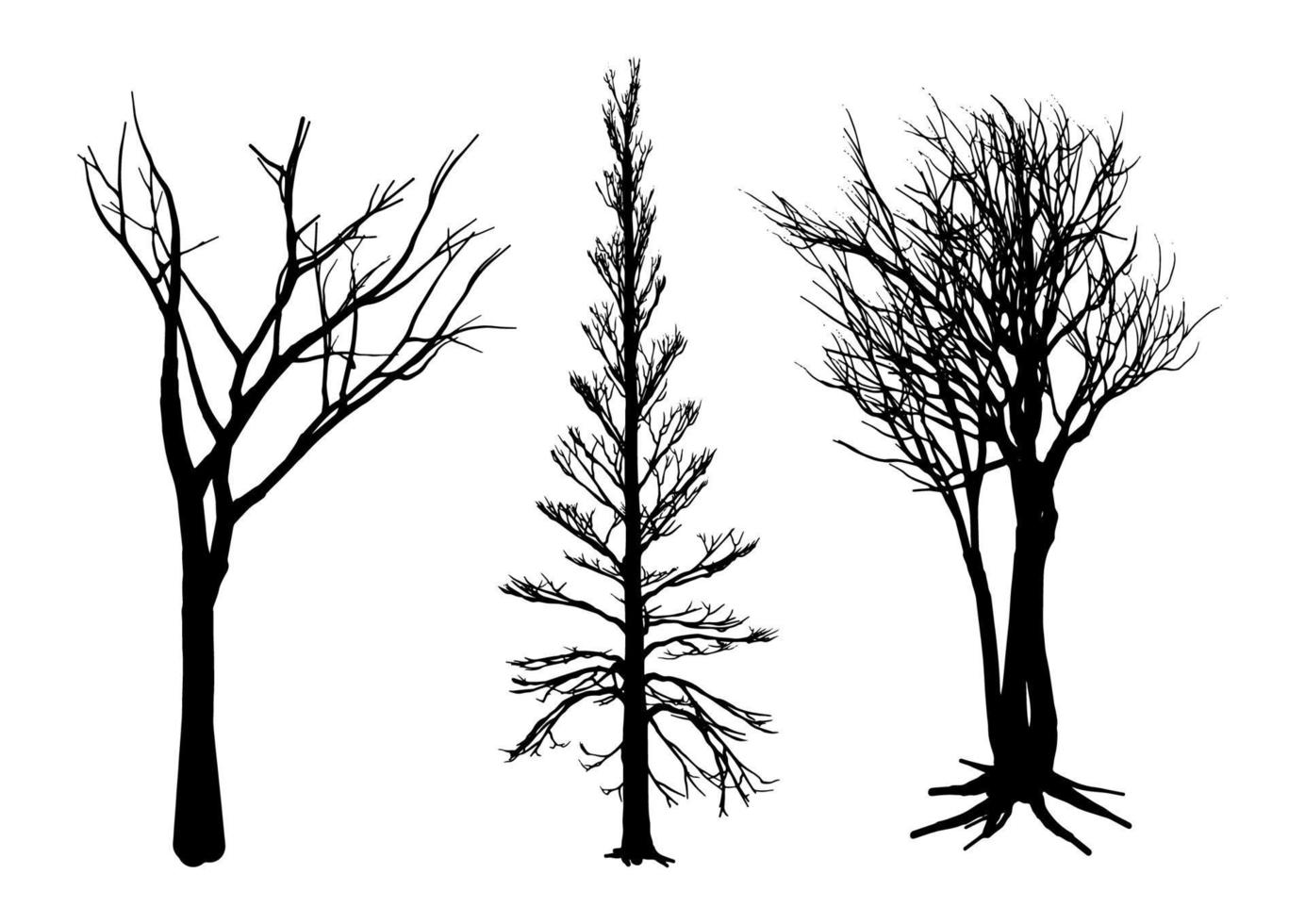 collection of winter tree silhouettes vector