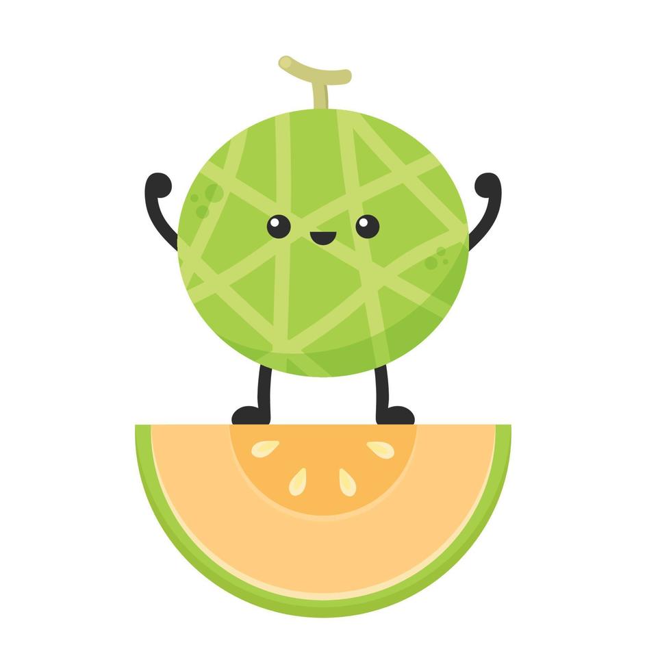 Melon character design. melon on white background. Melon cartoon. vector