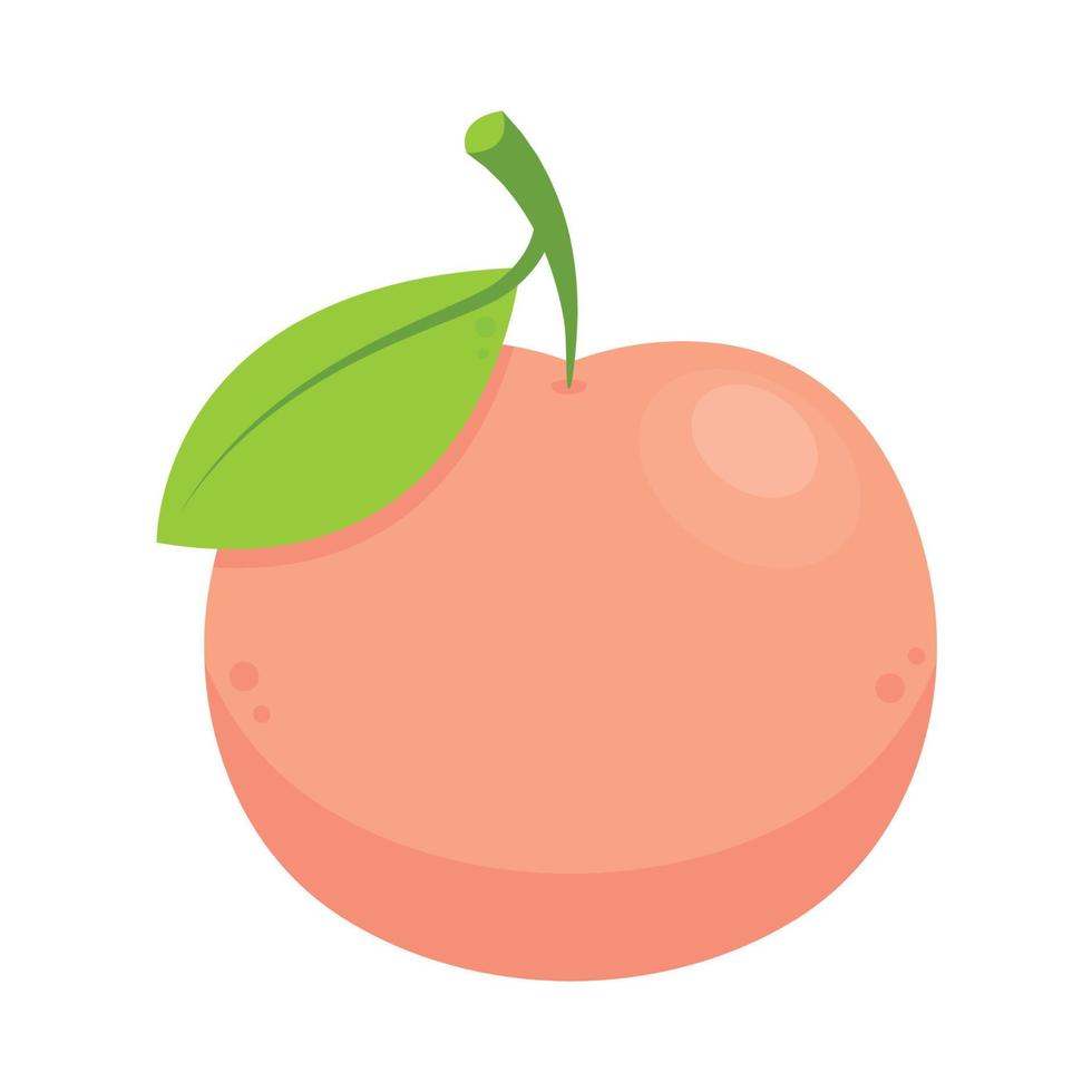 Peach vector icons set. Realistic illustration