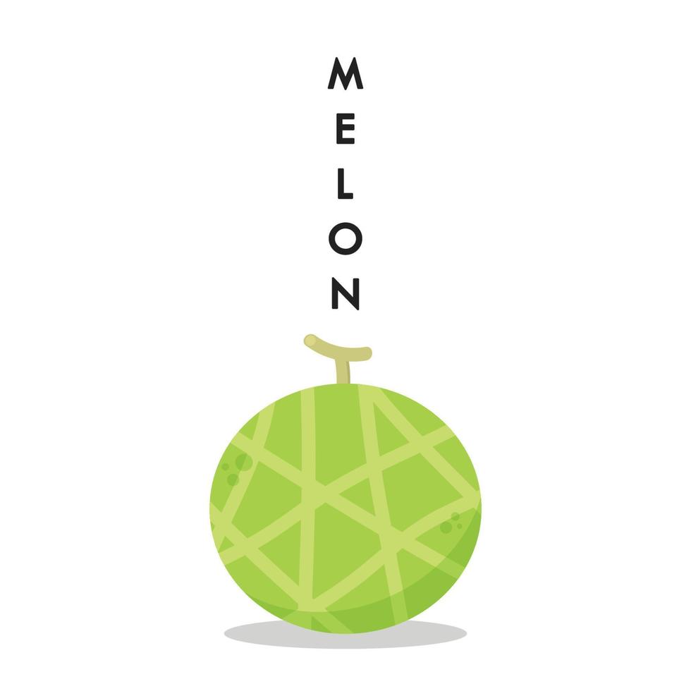 vector de melón melón sobre fondo blanco. fondo de pantalla. diseño de logo.