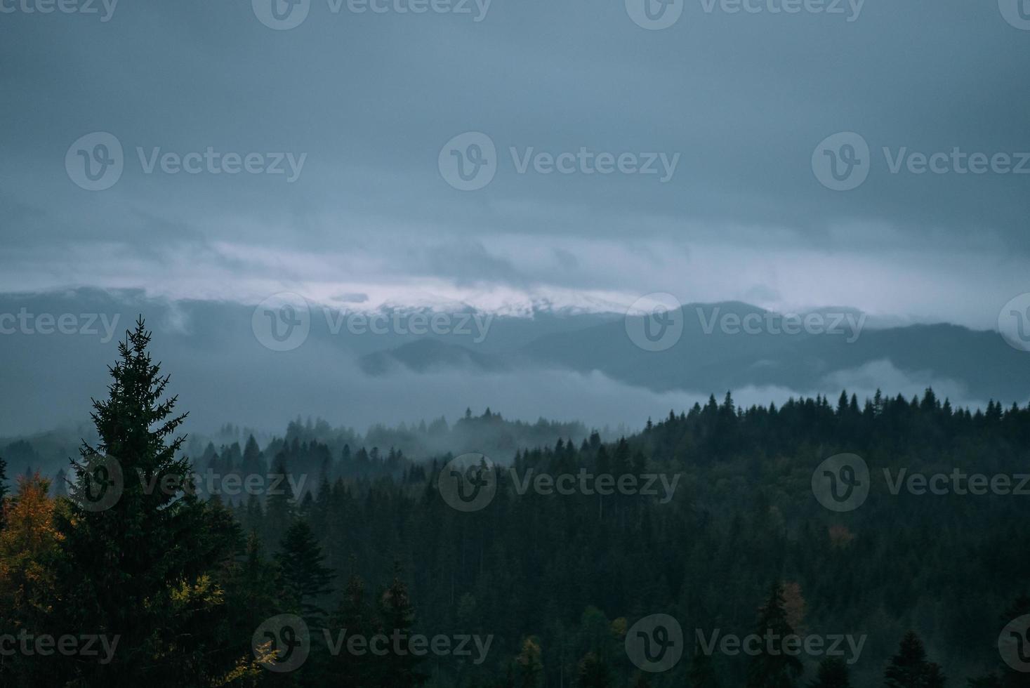 paisaje de bosques y montañas de coníferas viaje paisaje sereno foto