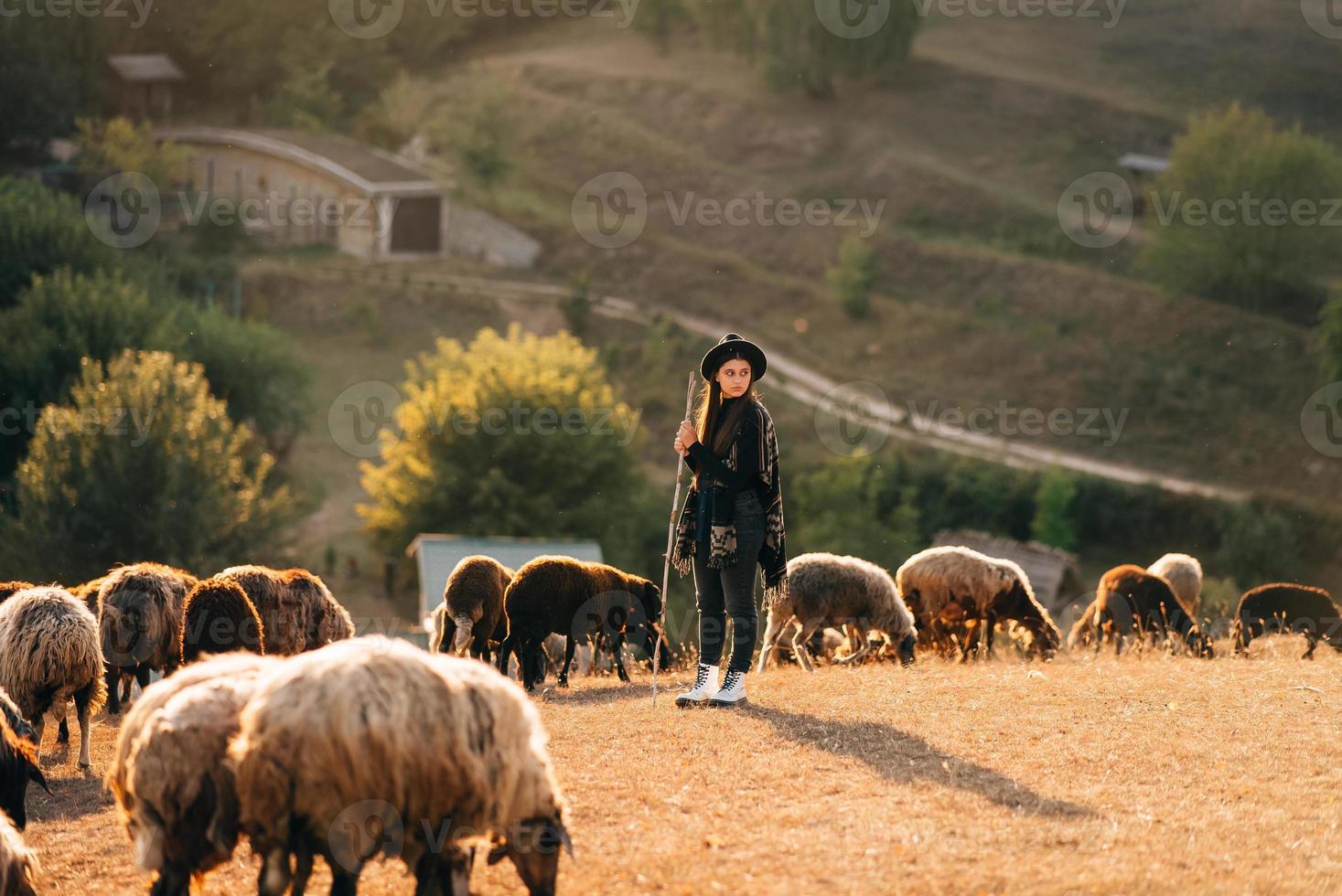 pastora y rebaño de ovejas en un césped foto