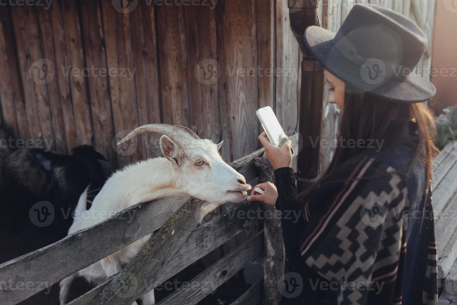 Woman takes a photo of a goat on her smartphone.