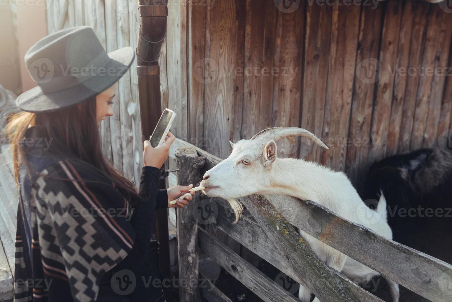 Woman takes a photo of a goat on her smartphone.