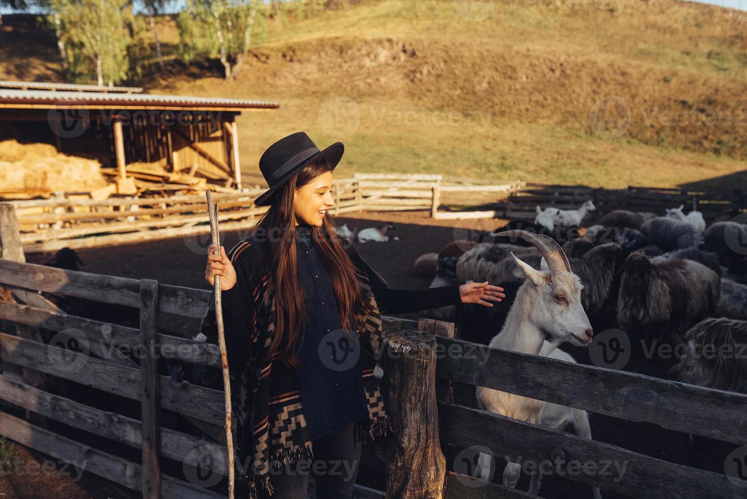 A young beautiful woman near a pen with goats photo