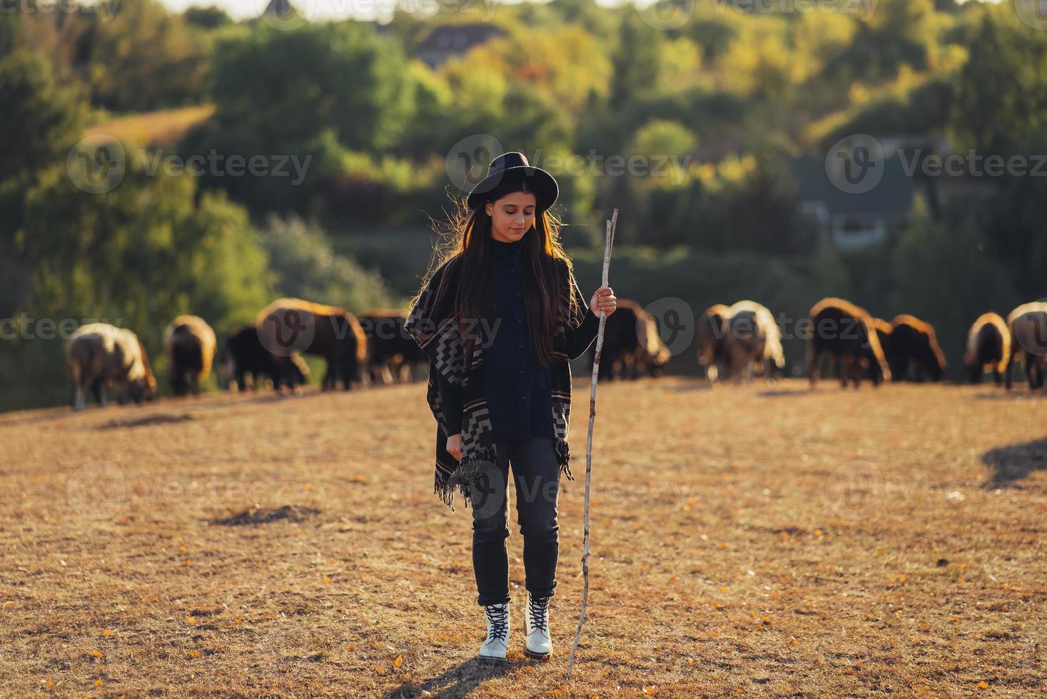 Female shepherd and flock of sheep at a lawn photo