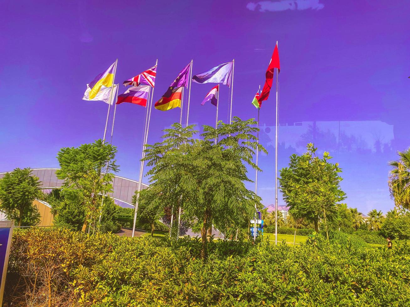 hot, tropical country with sea and mountains. commonwealth of countries, flags stand side by side. international cooperation. near green trees with long leaves photo