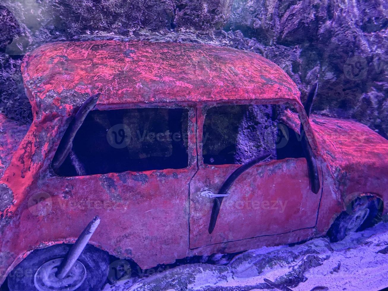 bright, red car sank at the bottom of the sea. roof and wheels with cracked paint. nearby, an eel climbed inside the car and sits on the handles photo