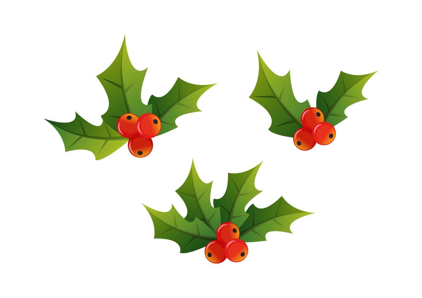 vector de diseño de decoración de acebo de navidad