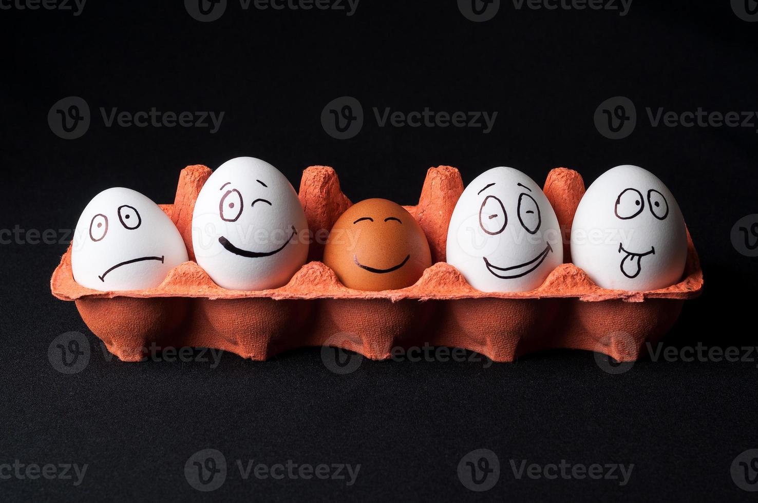 chicken eggs on isolated background photo