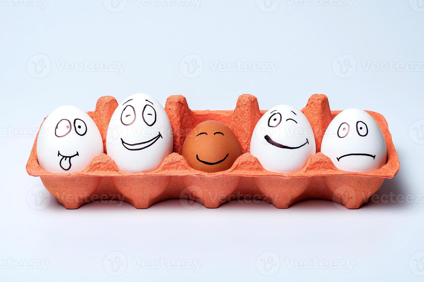 chicken eggs on isolated background photo