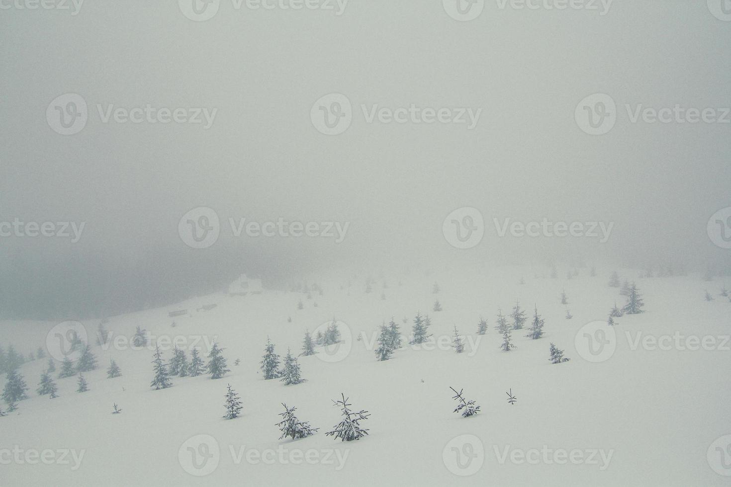 colina nevada cubierta de niebla foto de paisaje