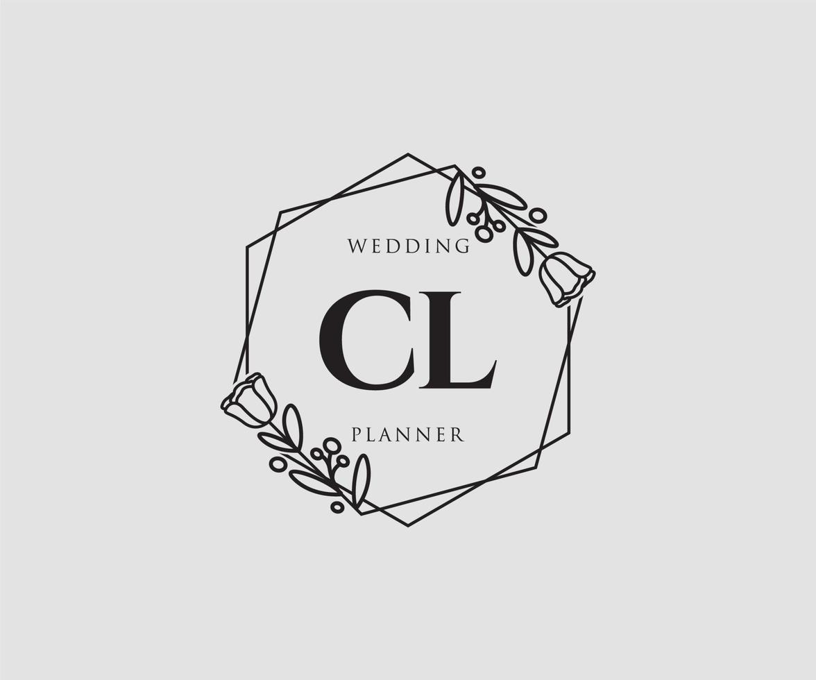 logo femenino cl inicial. utilizable para logotipos de naturaleza, salón, spa, cosmética y belleza. elemento de plantilla de diseño de logotipo de vector plano.