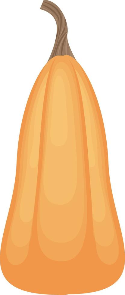 A bright autumn illustration with an image of a ripe pumpkin of an elongated shape in orange color. A ripe vegetable.A Halloween symbol. Vector illustration isolated on a white background