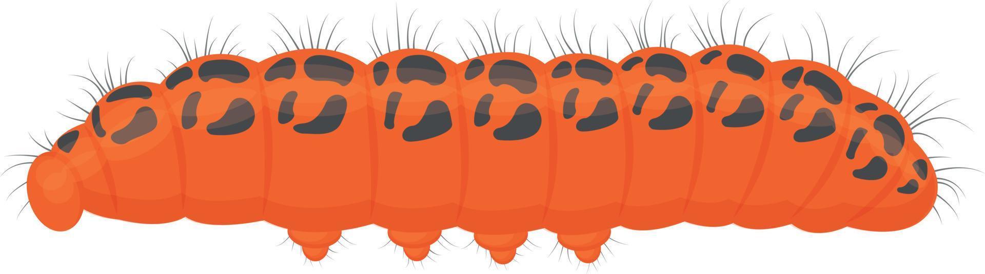 The bright caterpillar is bright orange in color. The insect is an agricultural pest. Vector illustration isolated on a white background