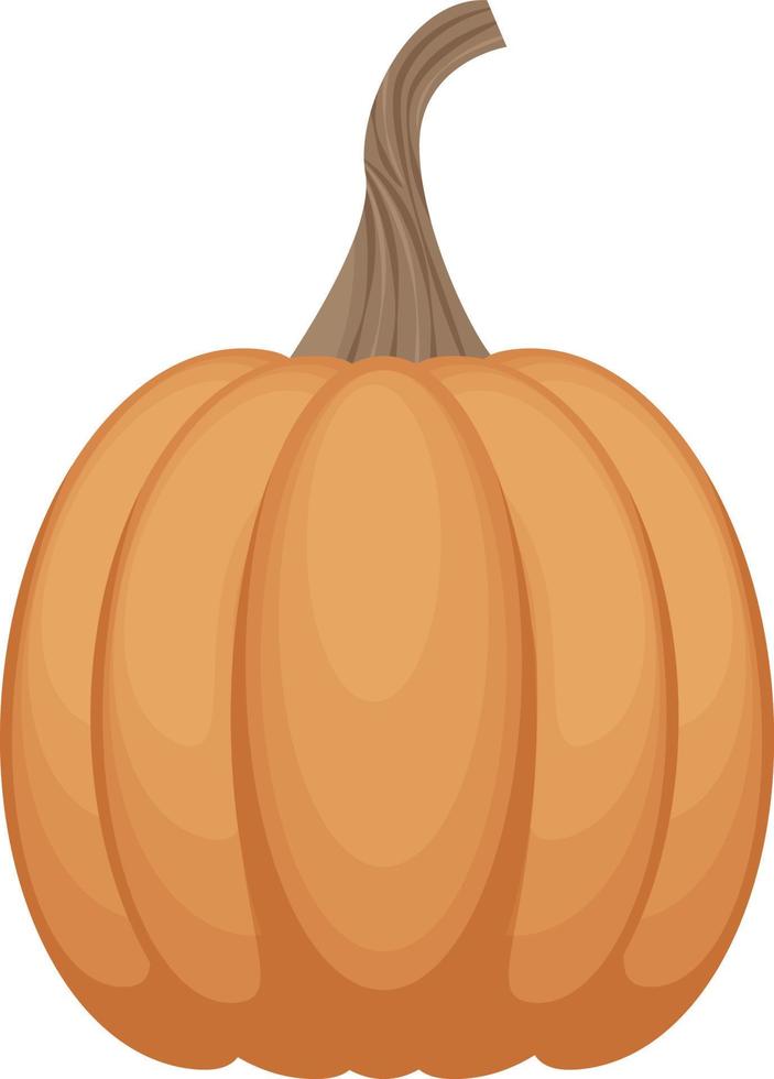 A bright autumn illustration with a picture of a ripe round-shaped pumpkin in orange color. A ripe vegetable.A Halloween symbol. Vector illustration isolated on a white background.