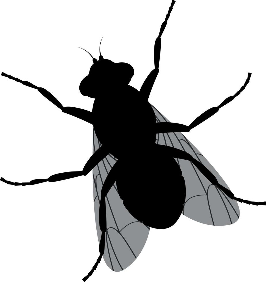 la silueta de una mosca. vista superior de la mosca. un insecto volador ilustración vectorial aislada en un fondo blanco vector