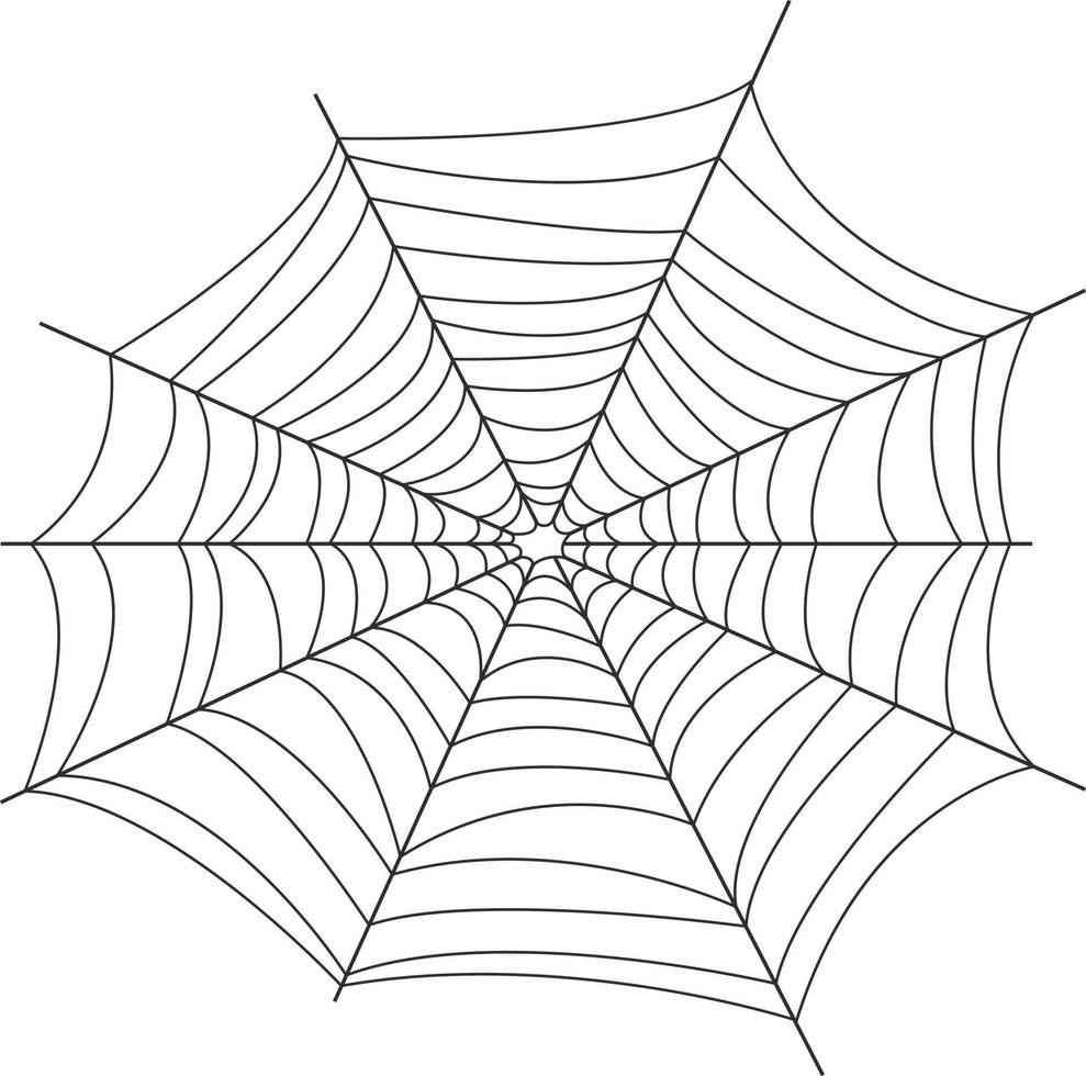 The image of the web. The net is a trap for insects. Spider web, a symbol of Halloween. Vector illustration isolated on a white background