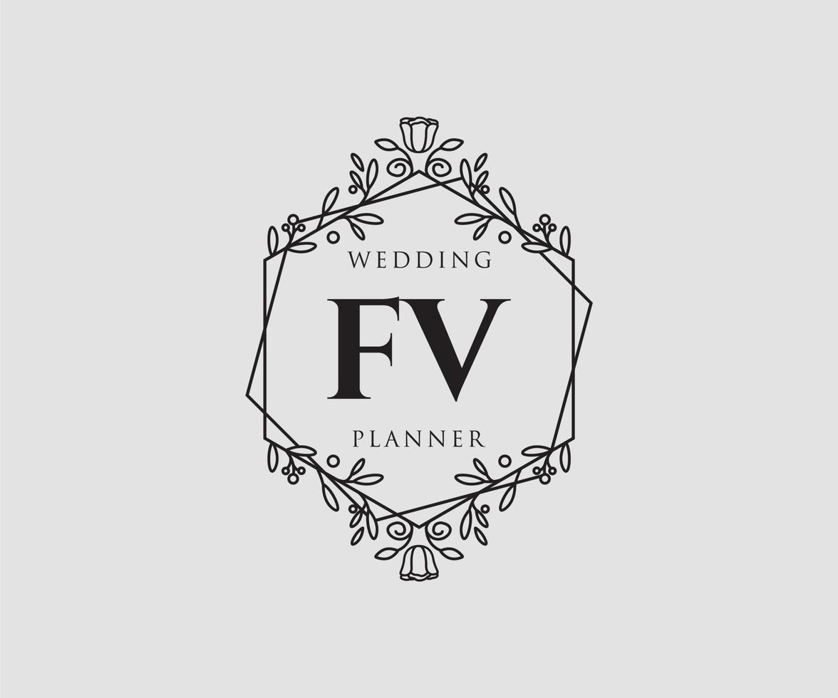 colección de logotipos de monogramas de boda con letras iniciales fv, plantillas florales y minimalistas modernas dibujadas a mano para tarjetas de invitación, guardar la fecha, identidad elegante para restaurante, boutique, café en vector