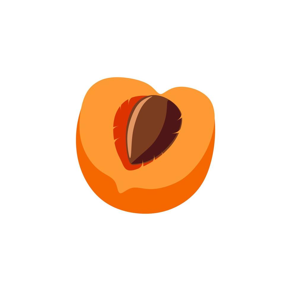 Apricot in the section with a stone. Flat style. Isolated on a white background. vector