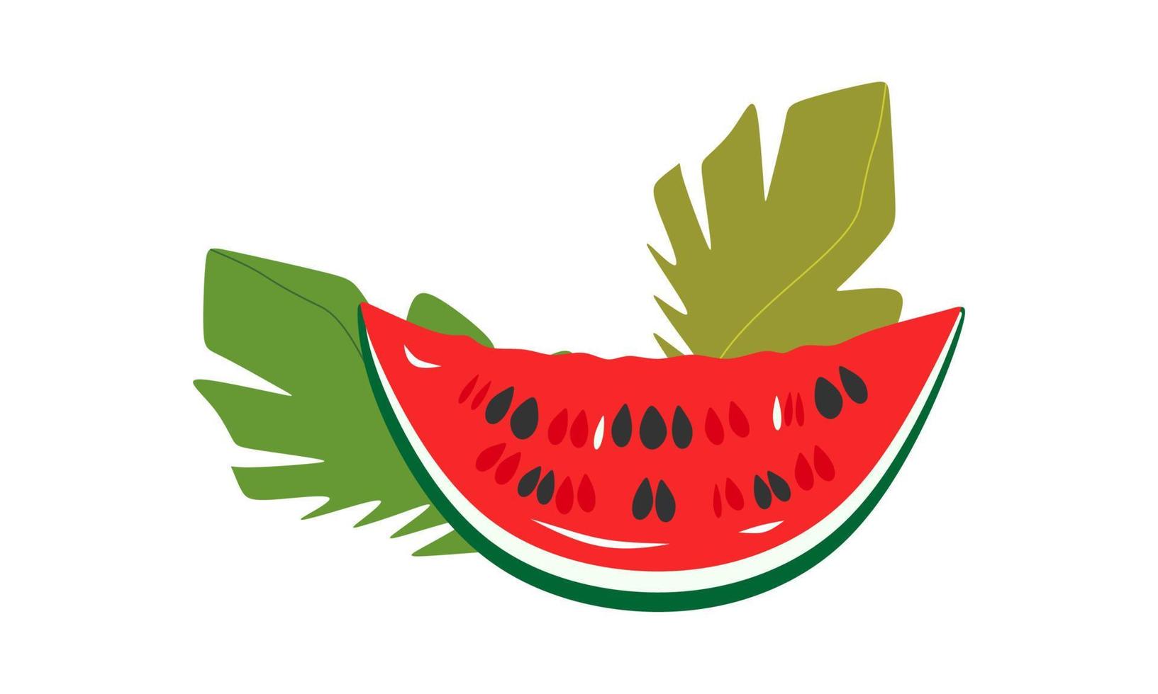 A slice of watermelon with seeds. The berry is sweet. Isolated on a white background. vector