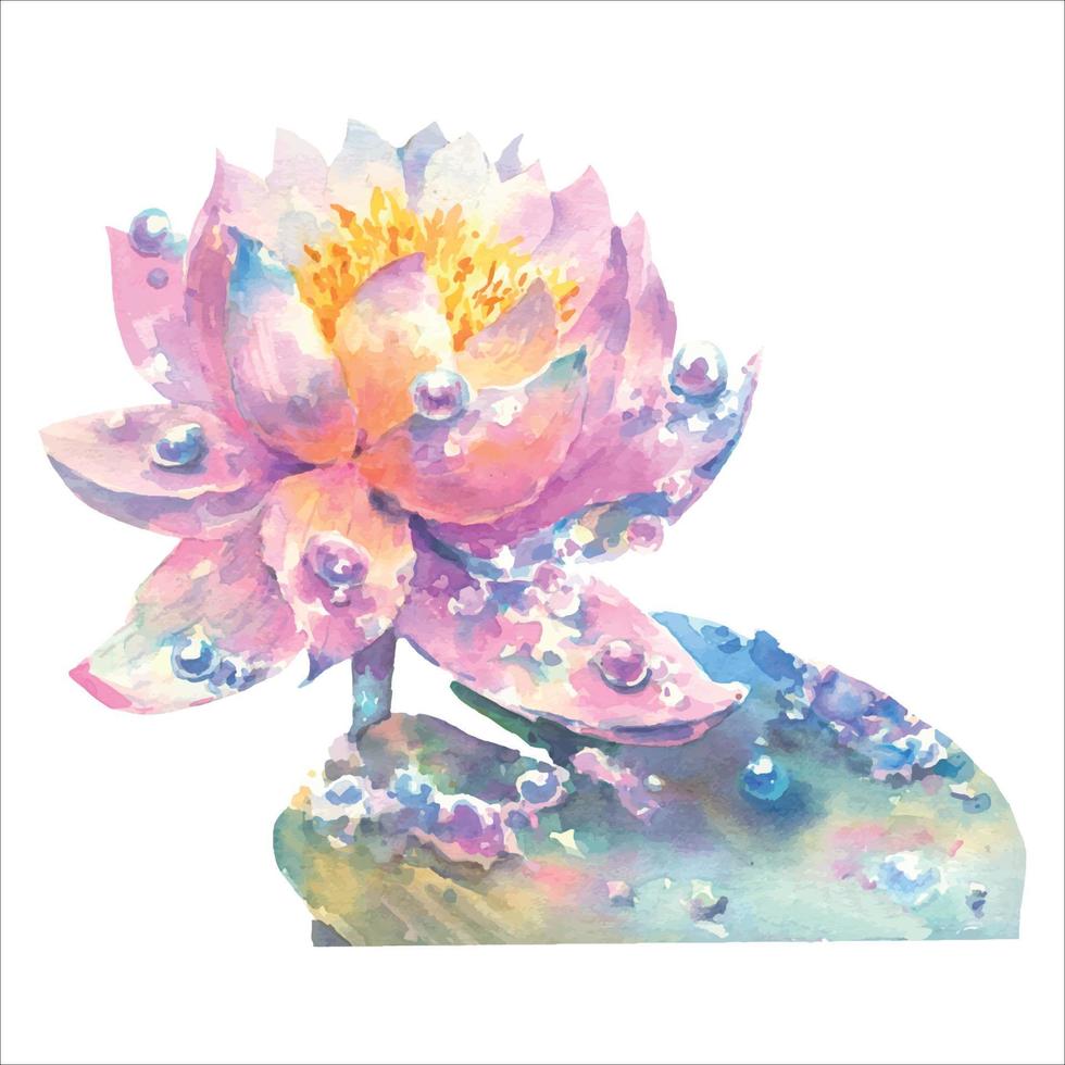 Pink water lily flower with dew drops, watercolor illustration isolated on white background hand drawing. vector