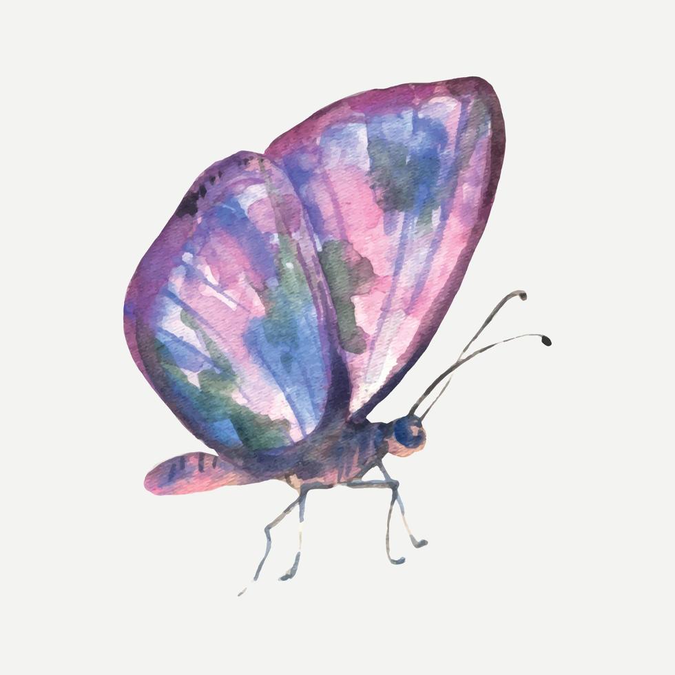 Watercolor multicolored butterfly for design. isolated on white background vector