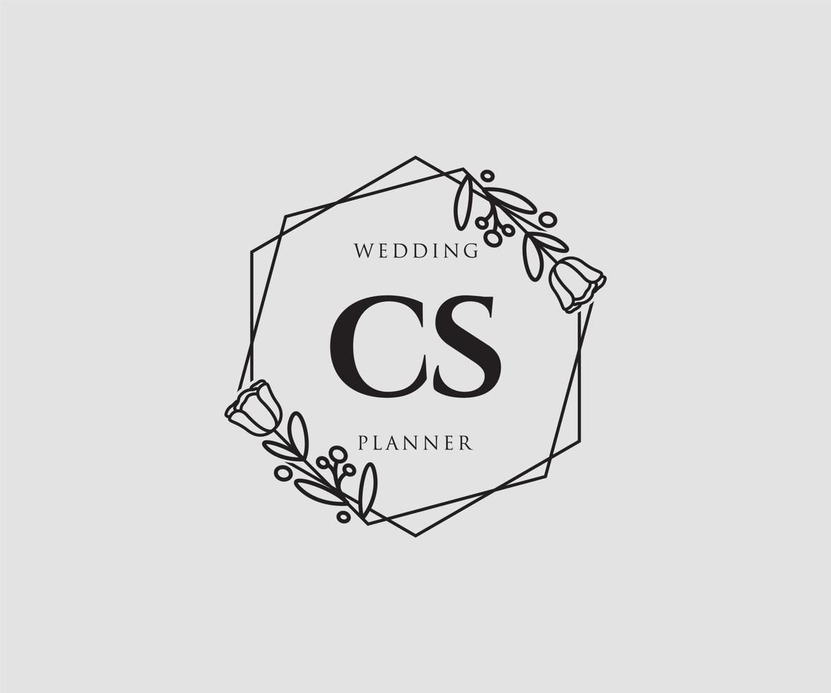 Initial CS feminine logo. Usable for Nature, Salon, Spa, Cosmetic and Beauty Logos. Flat Vector Logo Design Template Element.