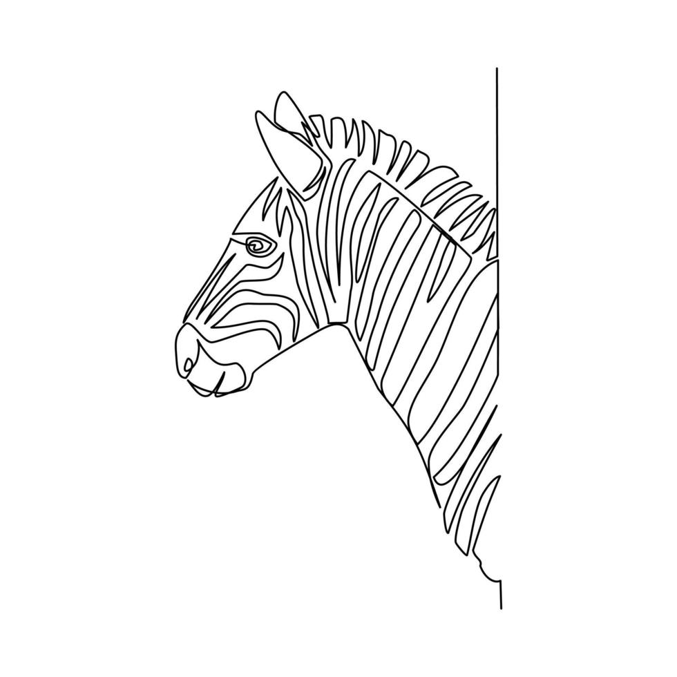 Zebra vector illustration drawn in line art style