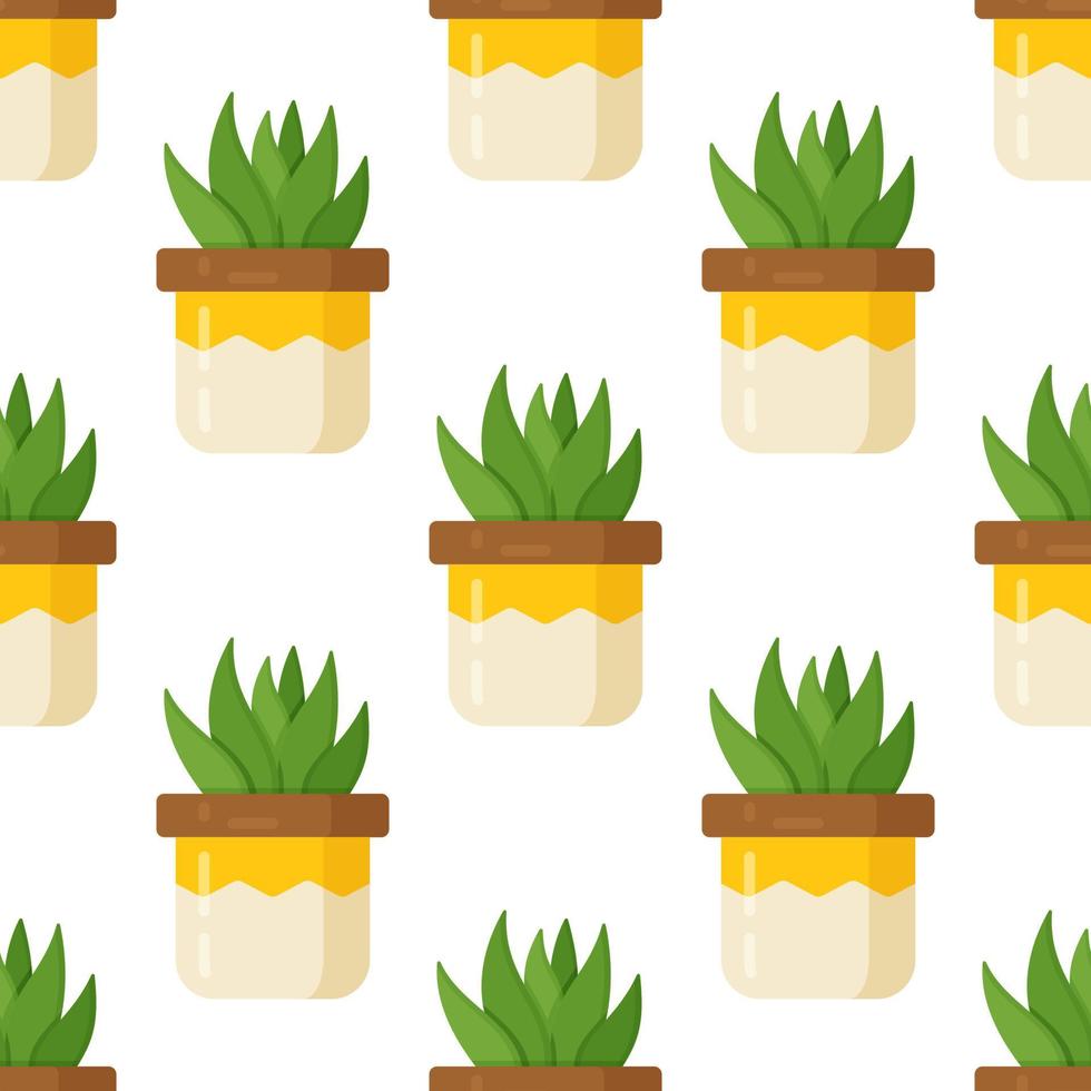 Vector illustration of succulent pattern on white background. Beautiful room vase as decor.