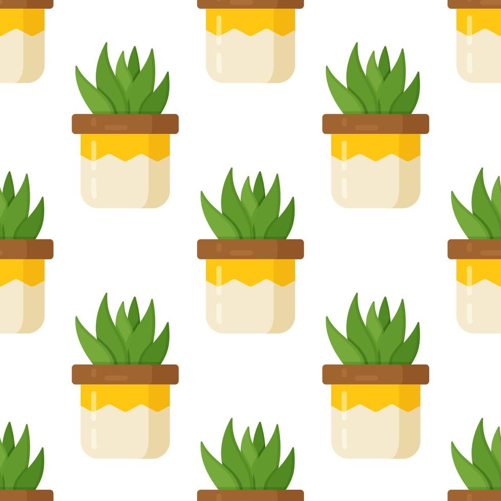 Vector illustration of succulent pattern on white background. Beautiful room vase as decor.