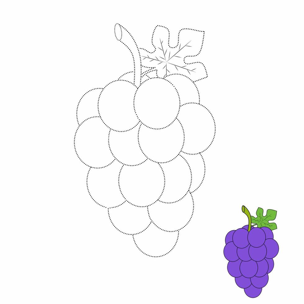 Grape trace and coloring book. Fruits vector illustration