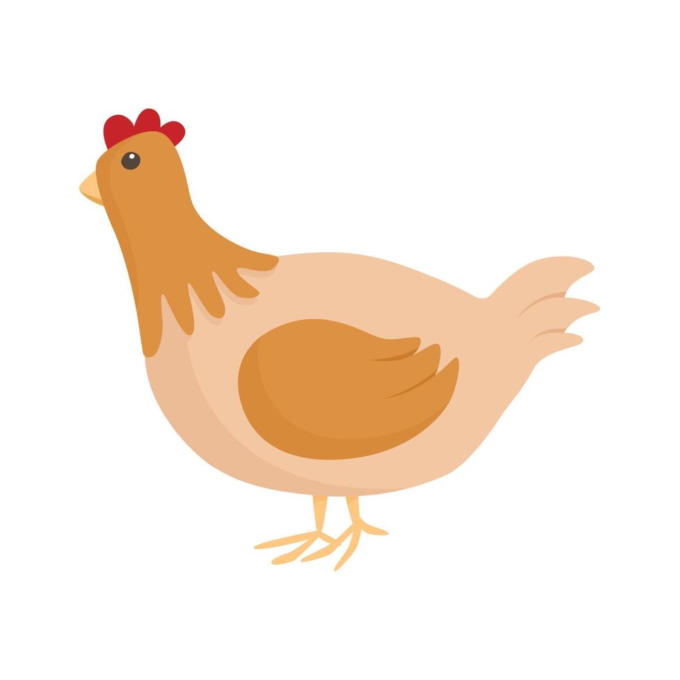 Vector simple isolated illustration on white background. Cartoon picture of a brown hen or chicken. Children design element