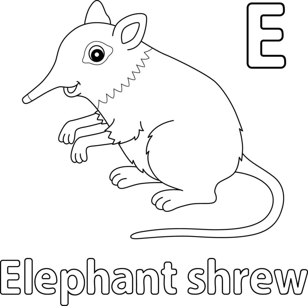 Elephant Shrew Alphabet ABC Isolated Coloring E vector