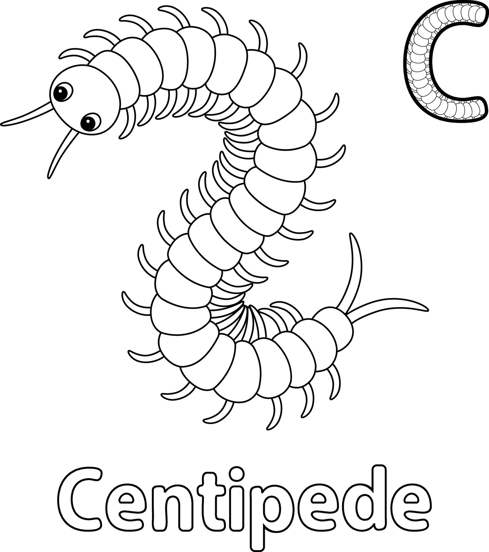 Centipede Animal Alphabet ABC Isolated Coloring C 15529367 Vector Art at  Vecteezy