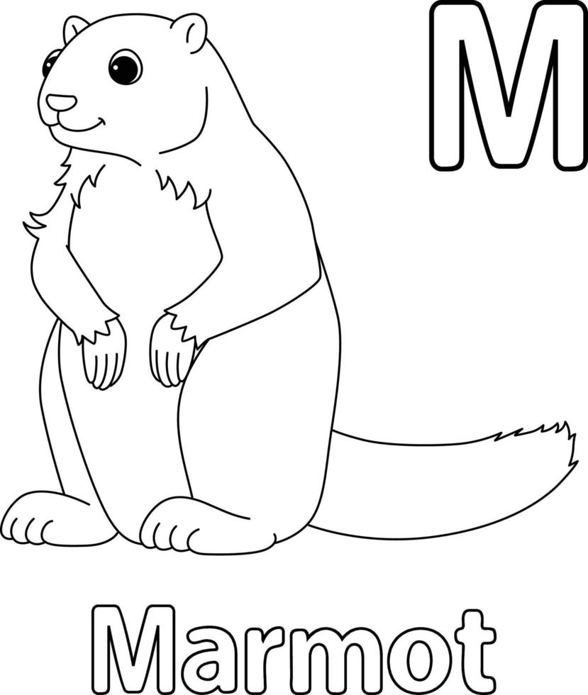 marmota alfabeto abc aislado para colorear página m vector