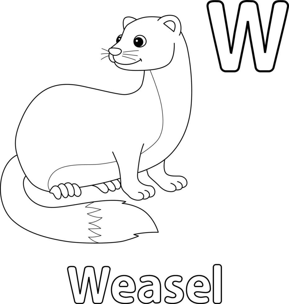 Weasel Animal Alphabet ABC Isolated Coloring W vector