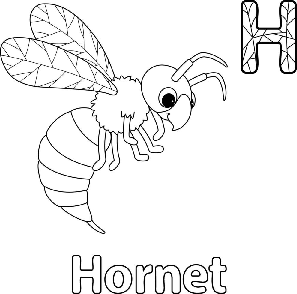 Hornet Animal Alphabet ABC Isolated Coloring H vector